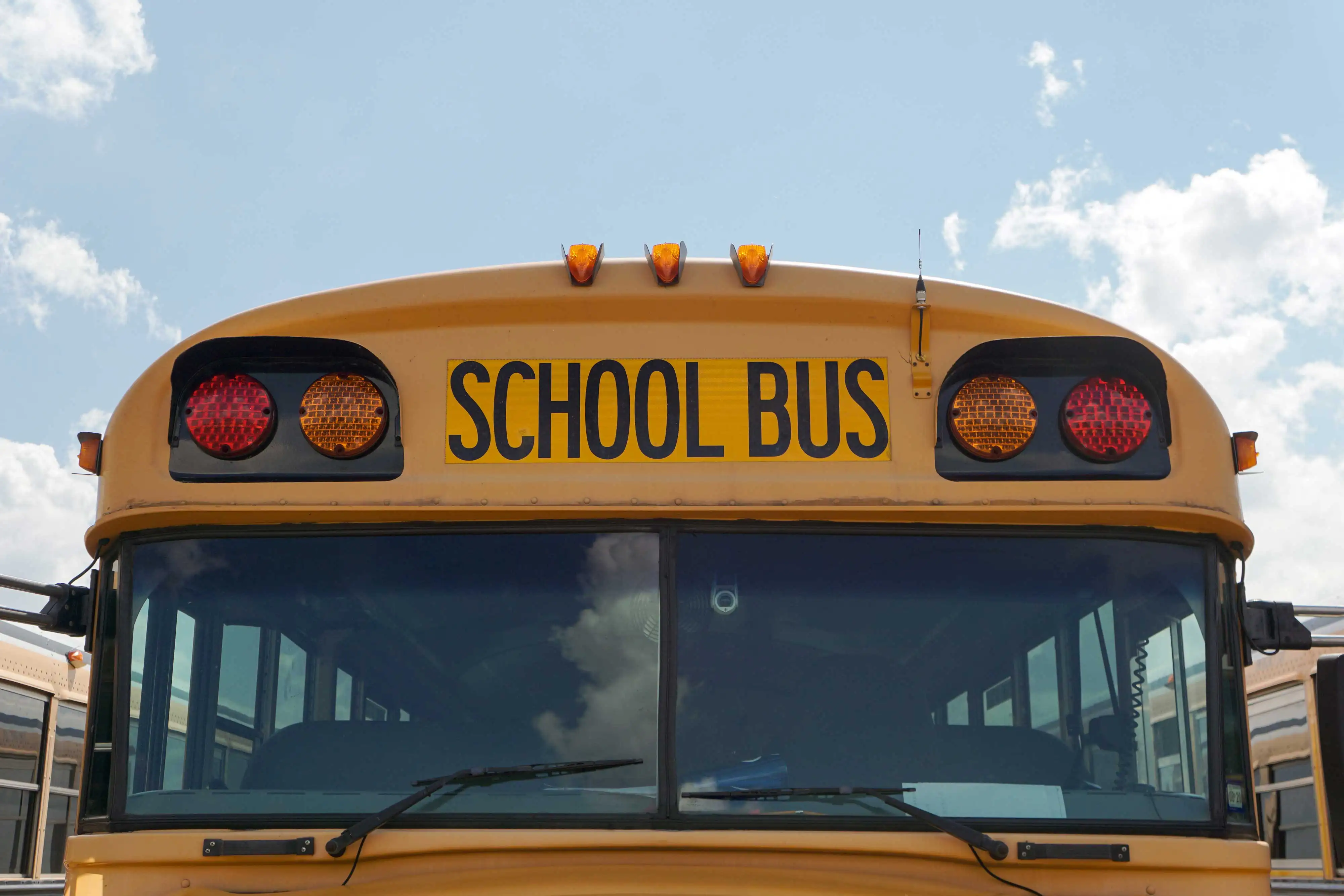 school transport